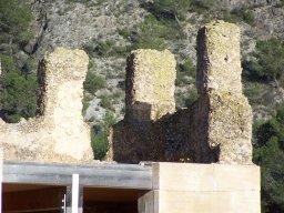 Castillo de Pliego 2009